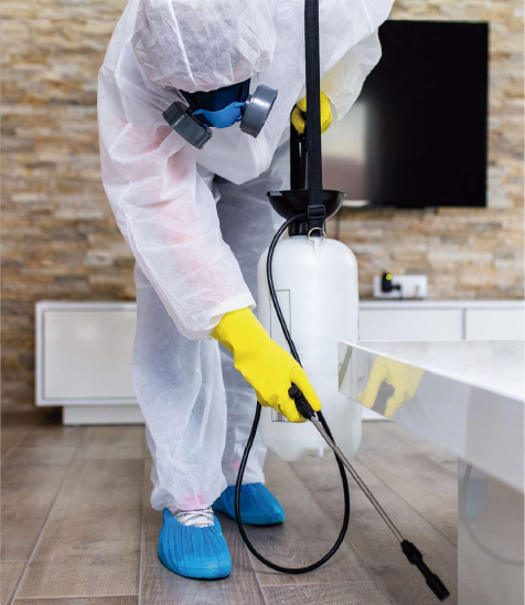 Imagen de servicio de control de plagas del brochure de Pest Control MX